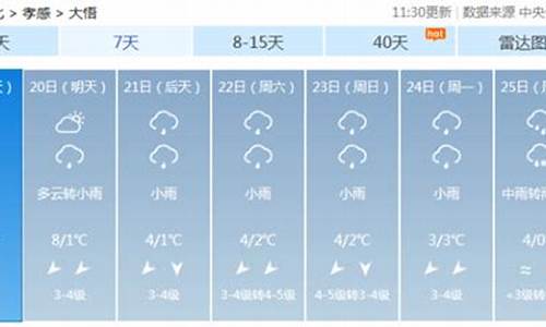 大悟天气预报15天当地天气查询表_大悟天气预报15天