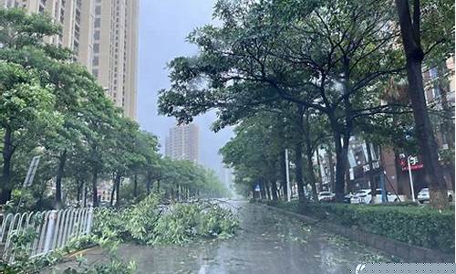 福建晋江天气预报_福建晋江天气15天