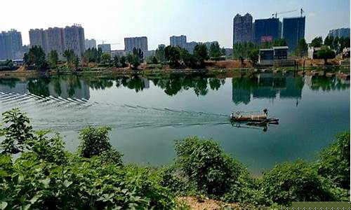 给我搜一下阜城天气_阜城天气预报40天查询