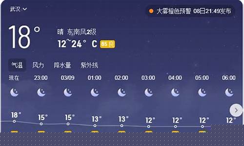 武汉未来一周天气预报查询结果最新消息_武汉未来一周的天气怎么样?