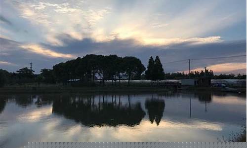 一周天气上海奉贤_上海天气预报15天奉贤