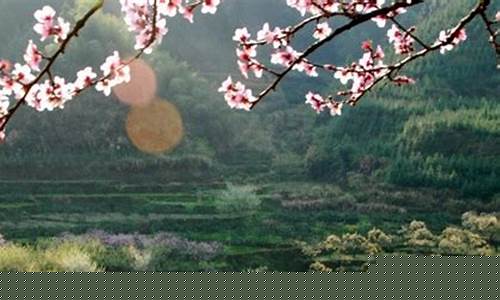 乐昌天气预报30天_乐昌天气预报30天天气